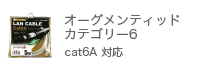 オーグメンティッドカテゴリー6　Cat6A